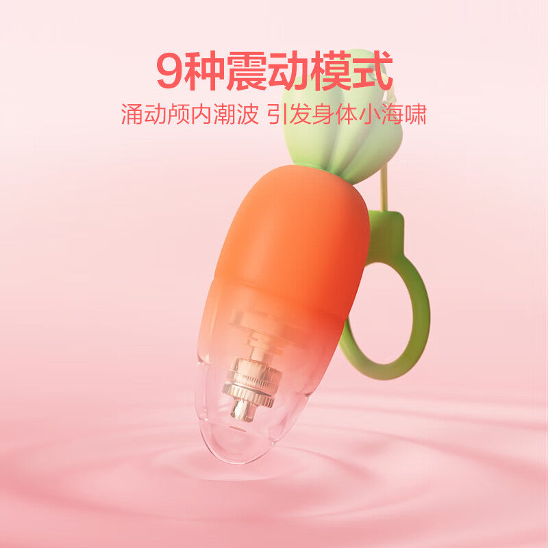 春风萝卜跳蛋
