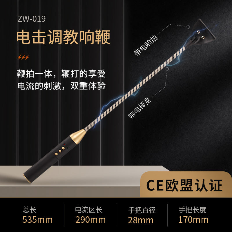 SM调教情趣电击皮鞭情调趣玩具