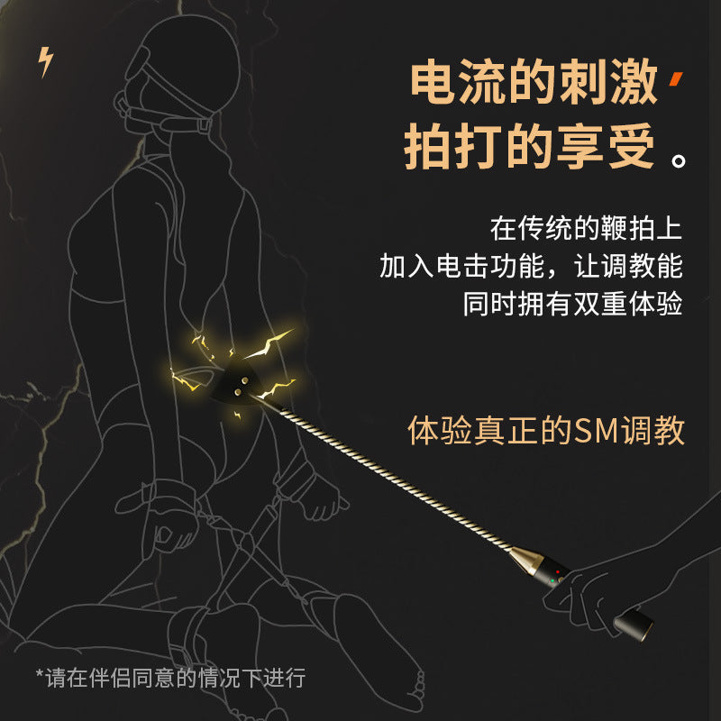 SM调教情趣电击皮鞭情调趣玩具