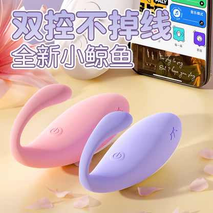 小鲸鱼跳蛋