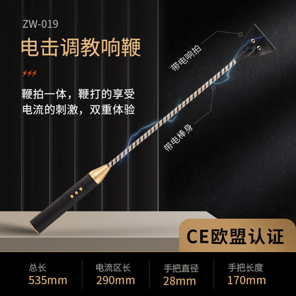 SM调教情趣电击皮鞭情调趣玩具
