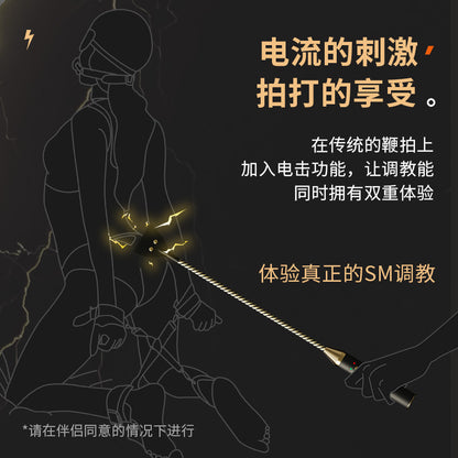 SM调教情趣电击皮鞭情调趣玩具